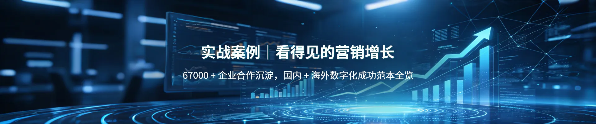 成功案例